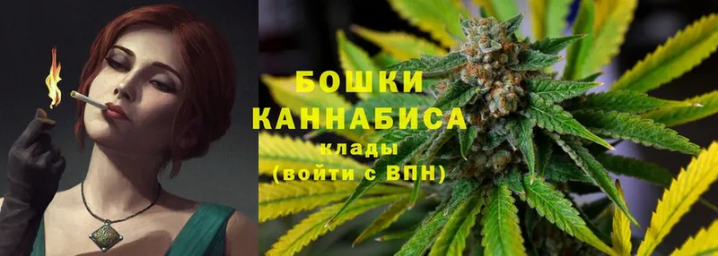 Каннабис SATIVA & INDICA  Кудрово 